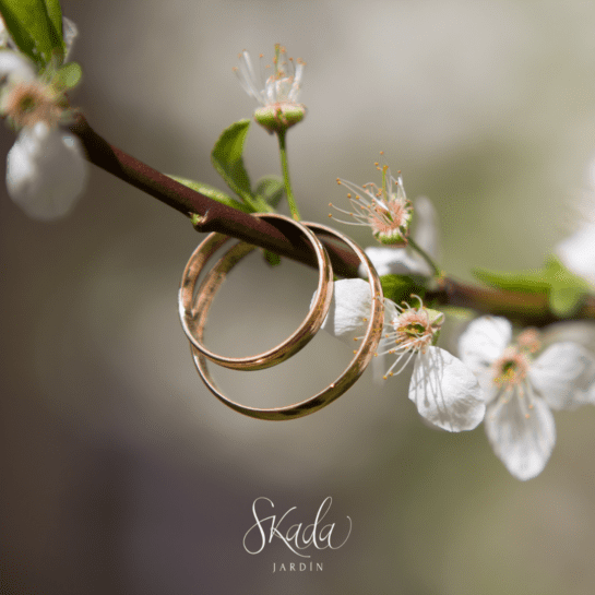 Alianzas de boda